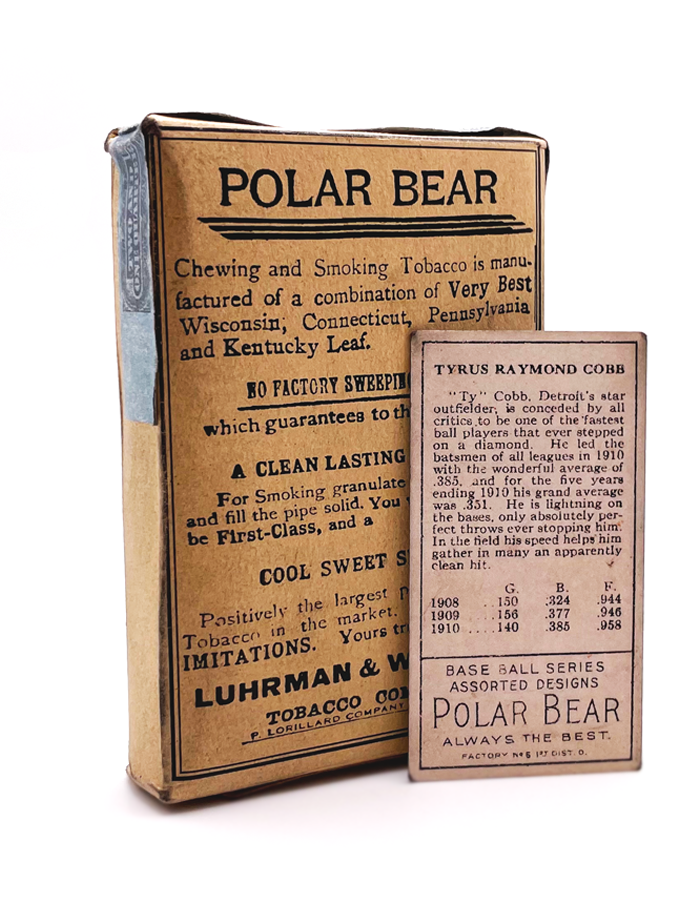 Polar Bear - Ty Cobb